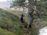 Glen Luibeg