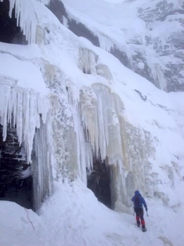 Kinder Downfall