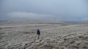 On Sugar Loaf