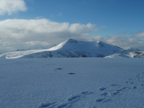 Stob Coir an Albannaich from Meall nan Eun