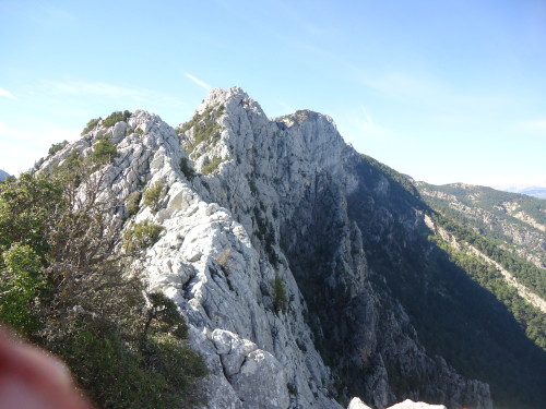 View along ridge - spot Simon