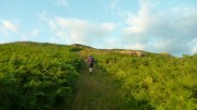 Excellent track up Gowbarrow