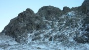 Scafell Shamrock