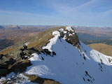 Ben Lui